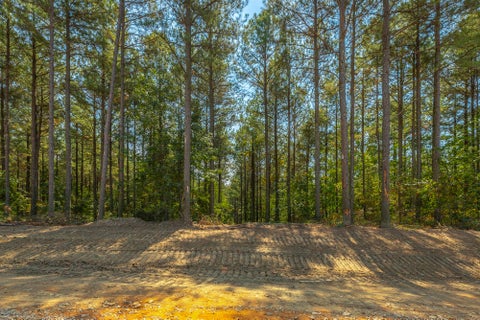 Vacant Land For Sale - Constellation Court<br/> Marion County, Guild, TN 37340