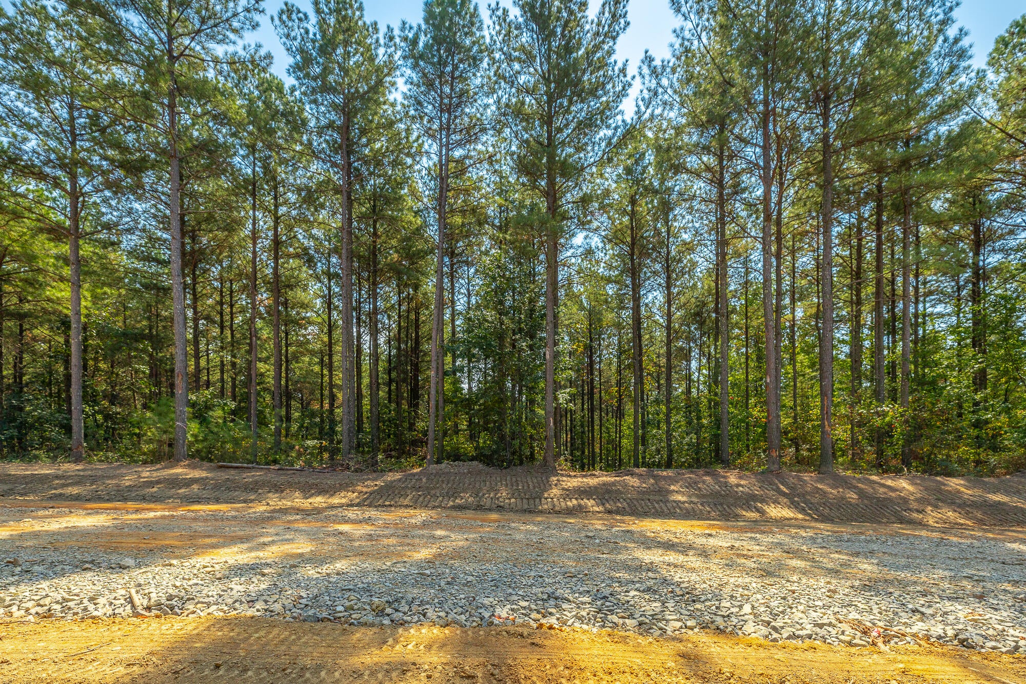 0 Constellation Court Lot 2039