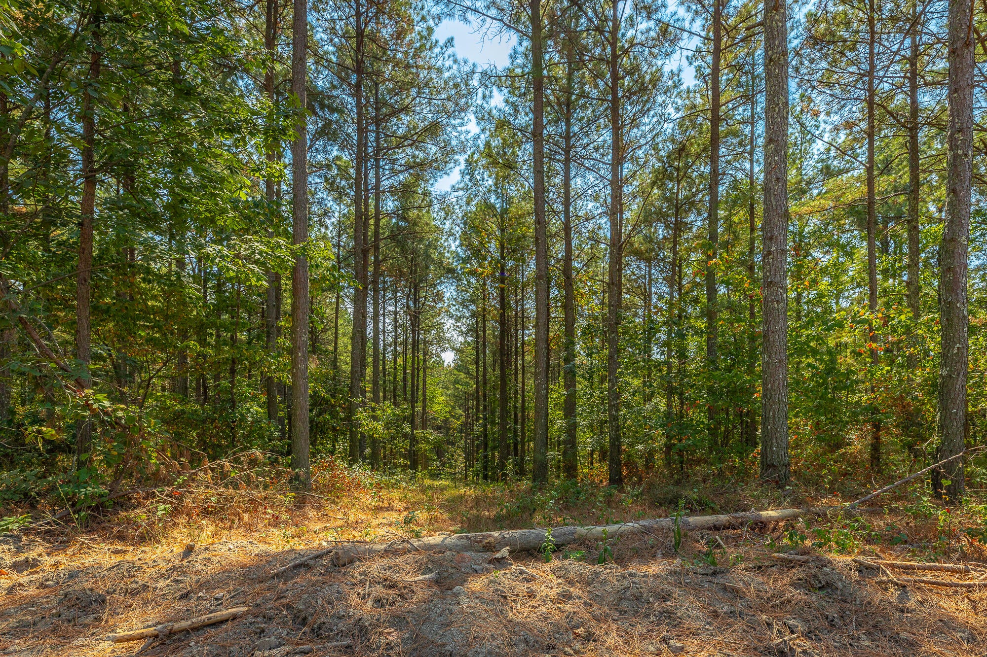 0 Constellation Court Lot 2039