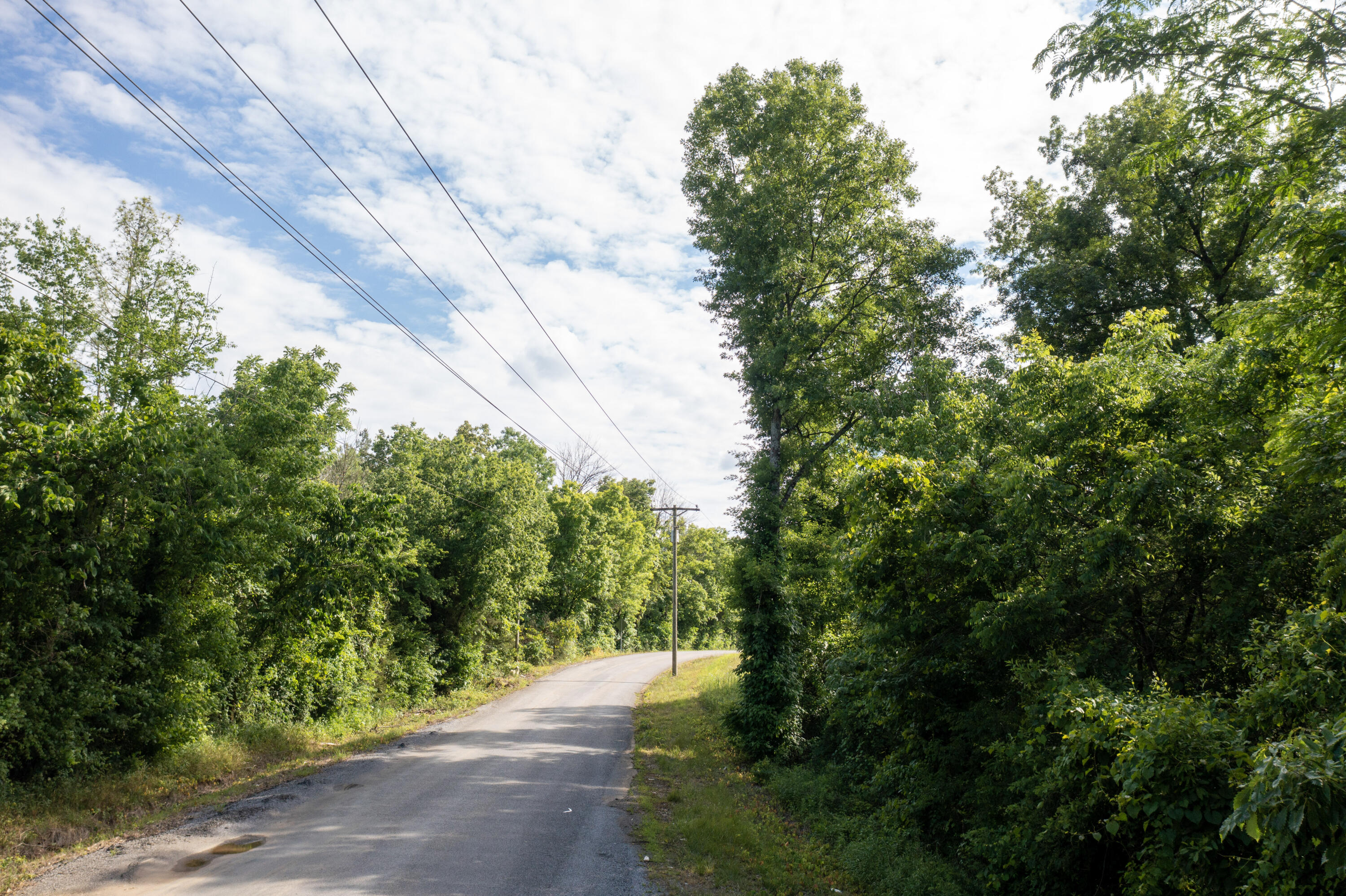 Lot 2 State Highway 163, Calhoun, Tennessee image 6