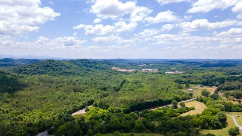 Tiny photo for Lot 2 State Highway 163, Calhoun, TN 37309 (MLS # 1356668)