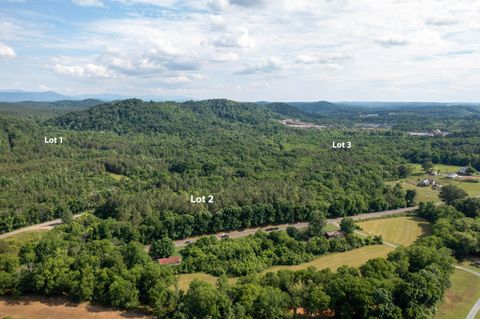 Tiny photo for Lot 2 State Highway 163, Calhoun, TN 37309 (MLS # 1356668)
