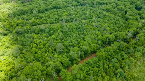 Tiny photo for Lot 2 State Highway 163, Calhoun, TN 37309 (MLS # 1356668)