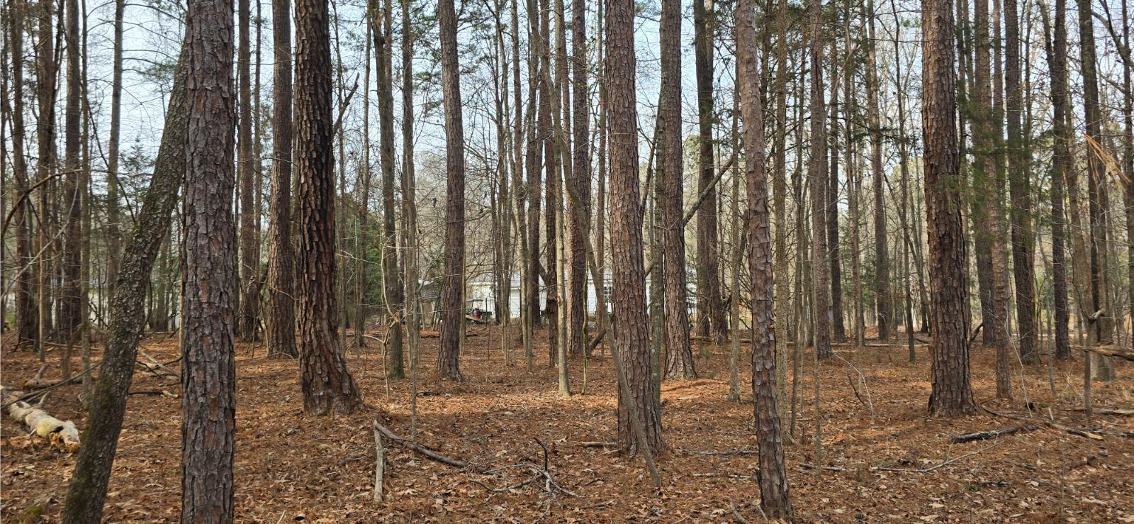 102 Lakeview Estates Lane