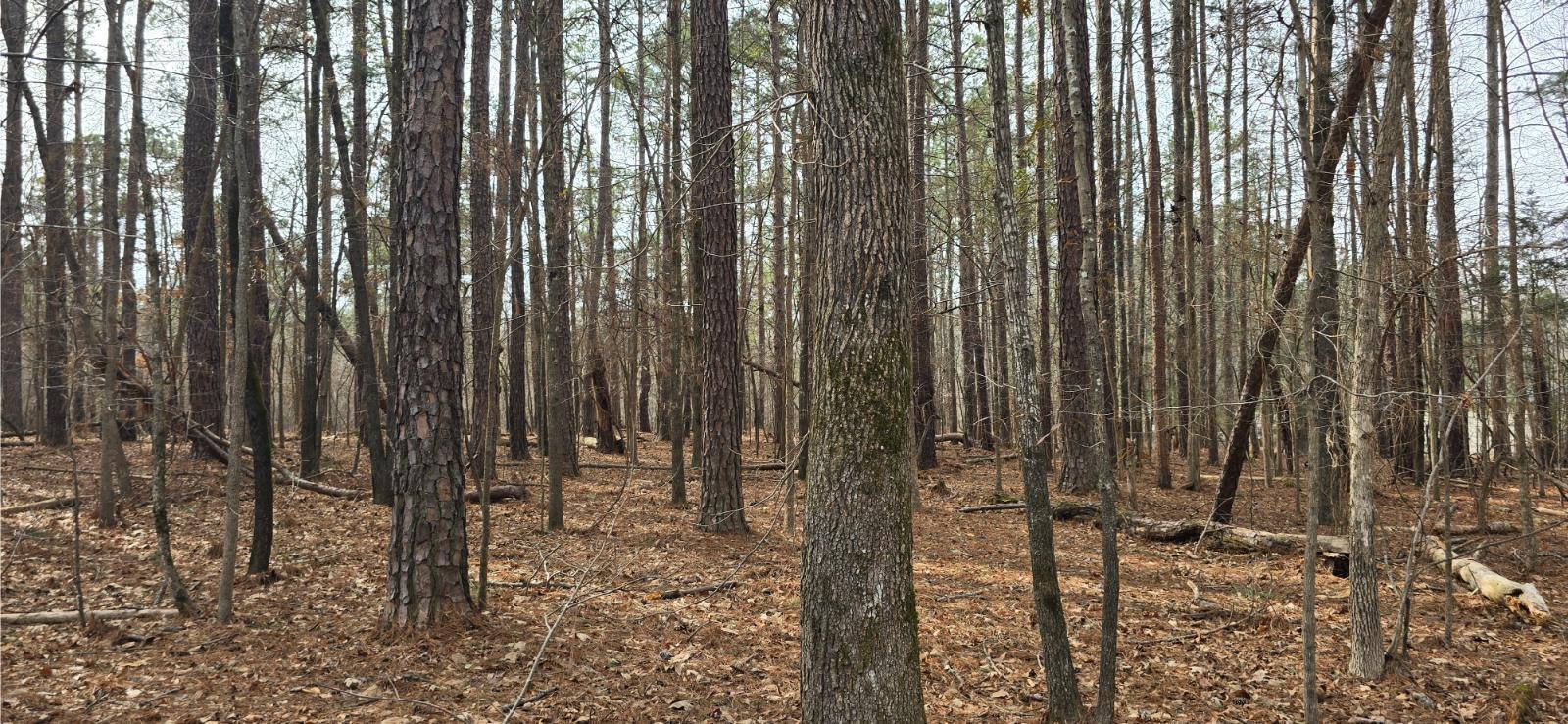 102 Lakeview Estates Lane