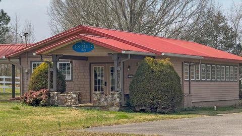 Tiny photo for 4330 Espalier Drive, Decatur, TN 37322 (MLS # 1529855)