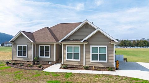 Tiny photo for 4330 Espalier Drive, Decatur, TN 37322 (MLS # 1529855)
