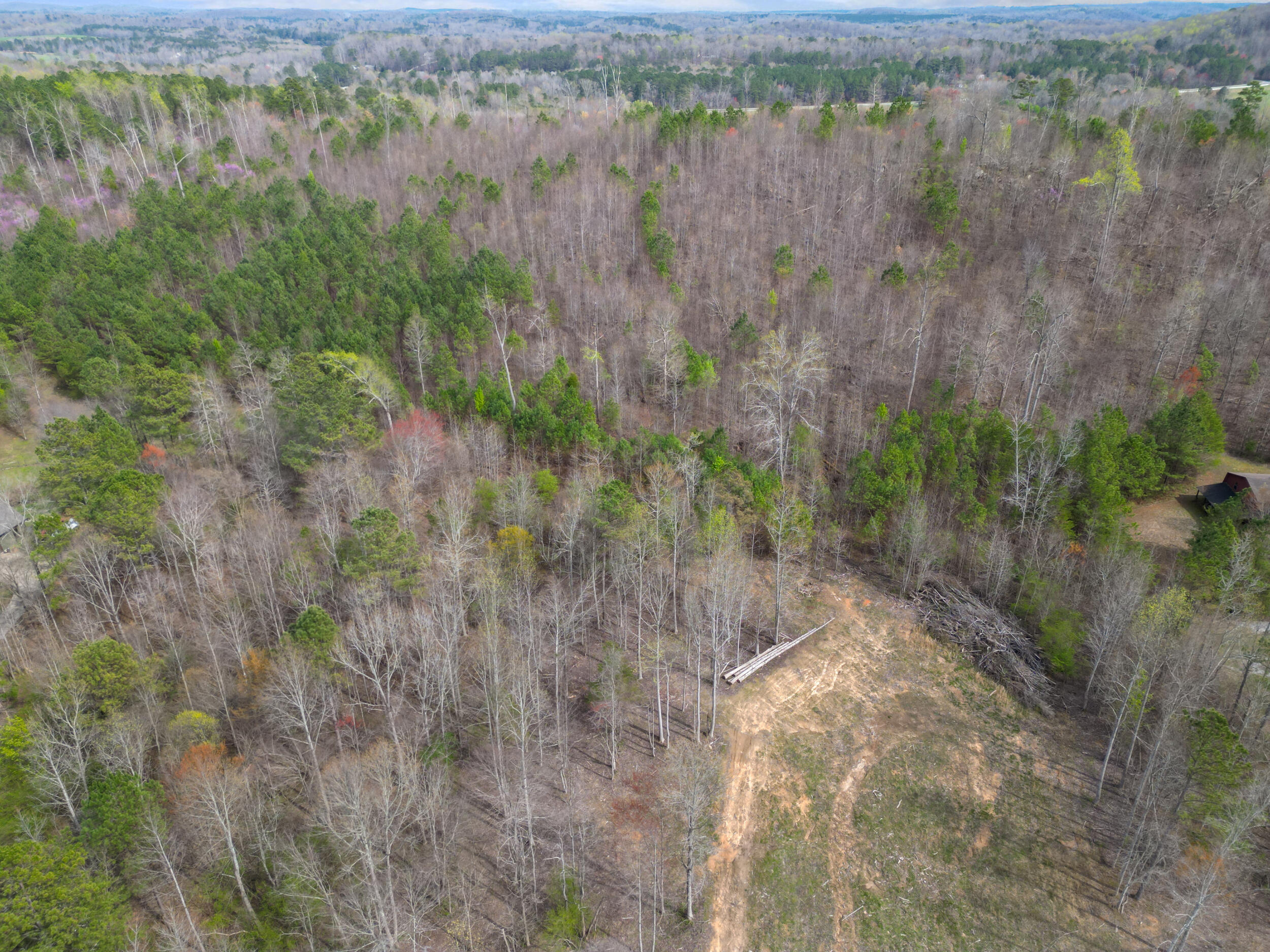 3354 Cherokee Valley Road, Ringgold, Georgia image 12