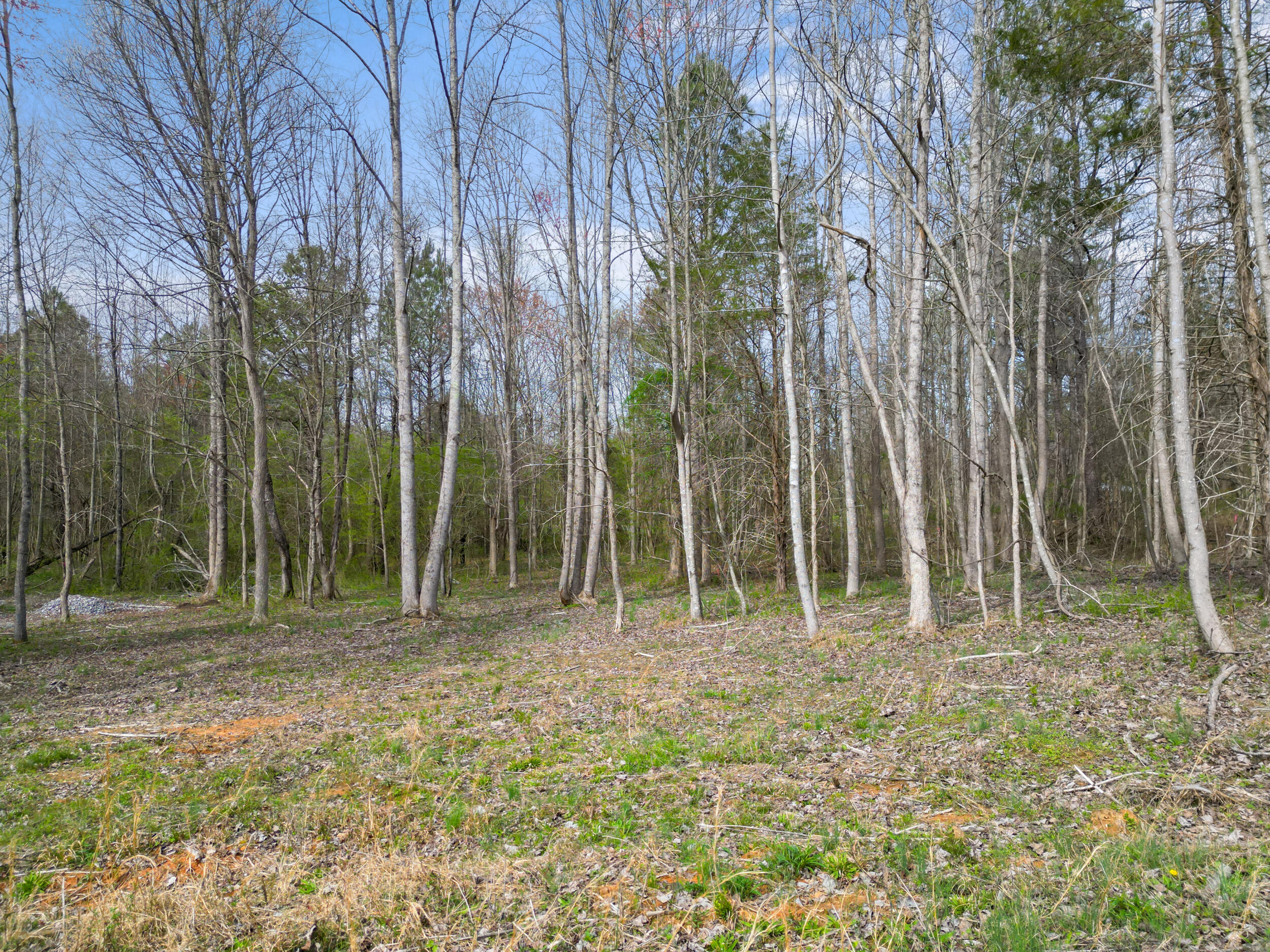 3354 Cherokee Valley Road, Ringgold, Georgia image 14