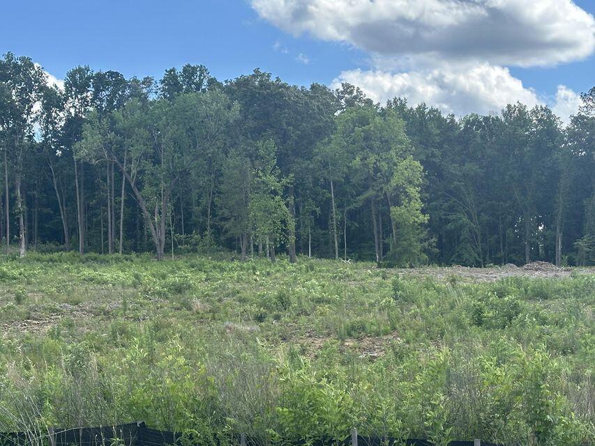 Lots 15-18 Michigan & Minnis Avenue, Cleveland, Tennessee image 3