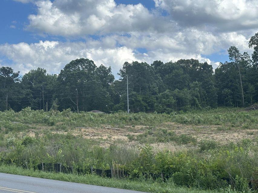 Lots 15-18 Michigan & Minnis Avenue, Cleveland, Tennessee image 2