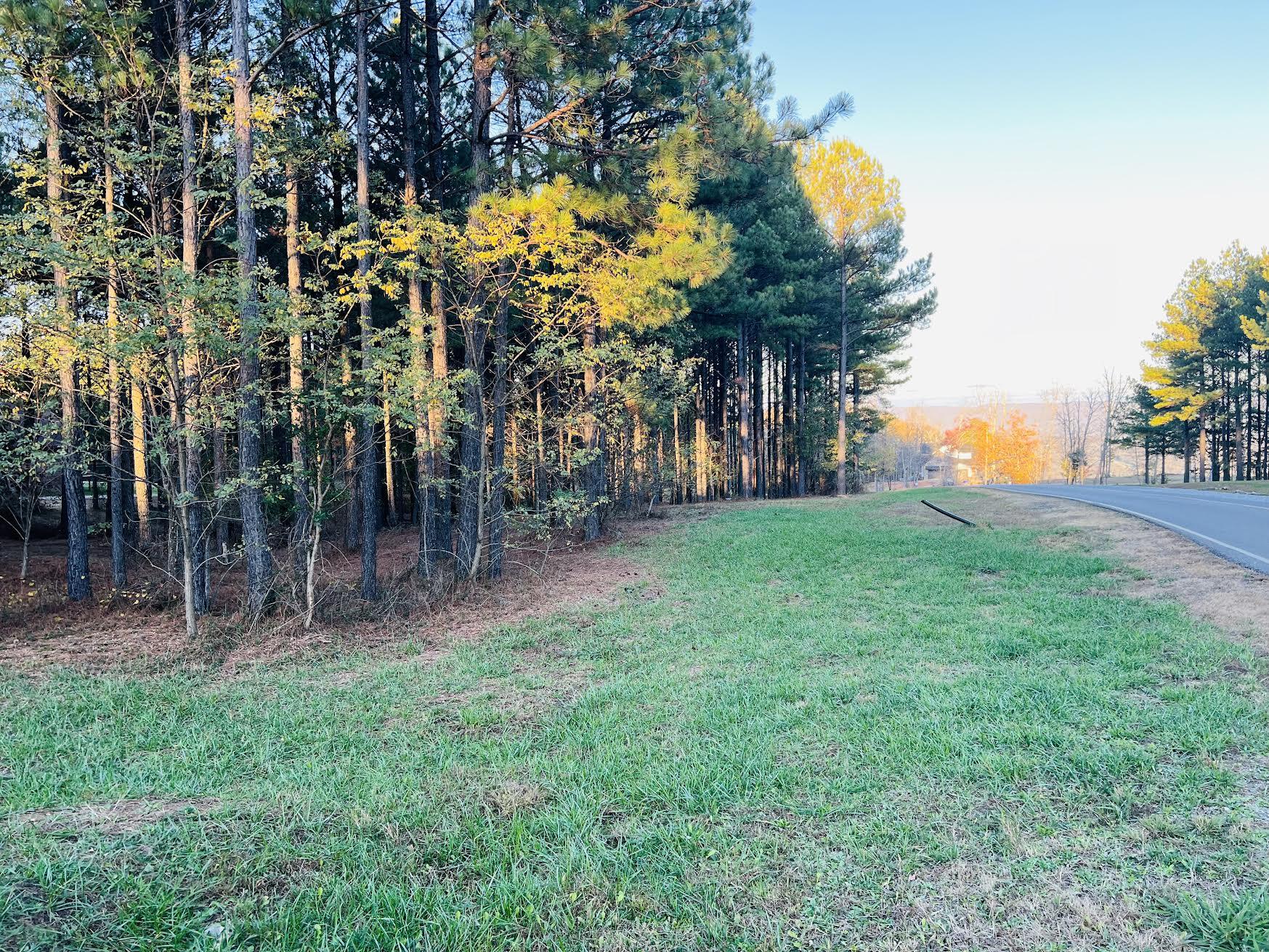 River Bluffs Drive #LOT 74, Jasper, Tennessee image 3
