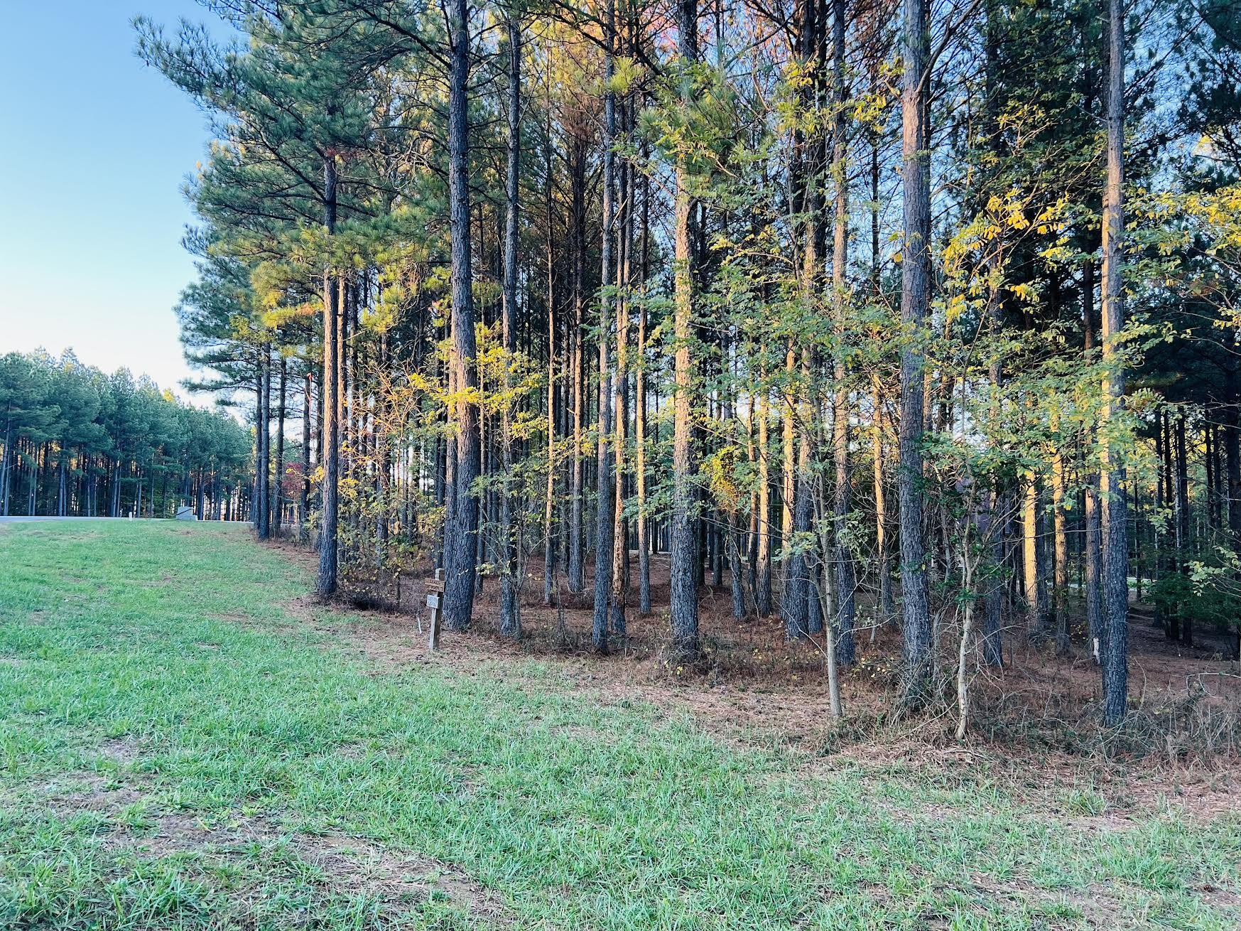 River Bluffs Drive #LOT 74, Jasper, Tennessee image 2