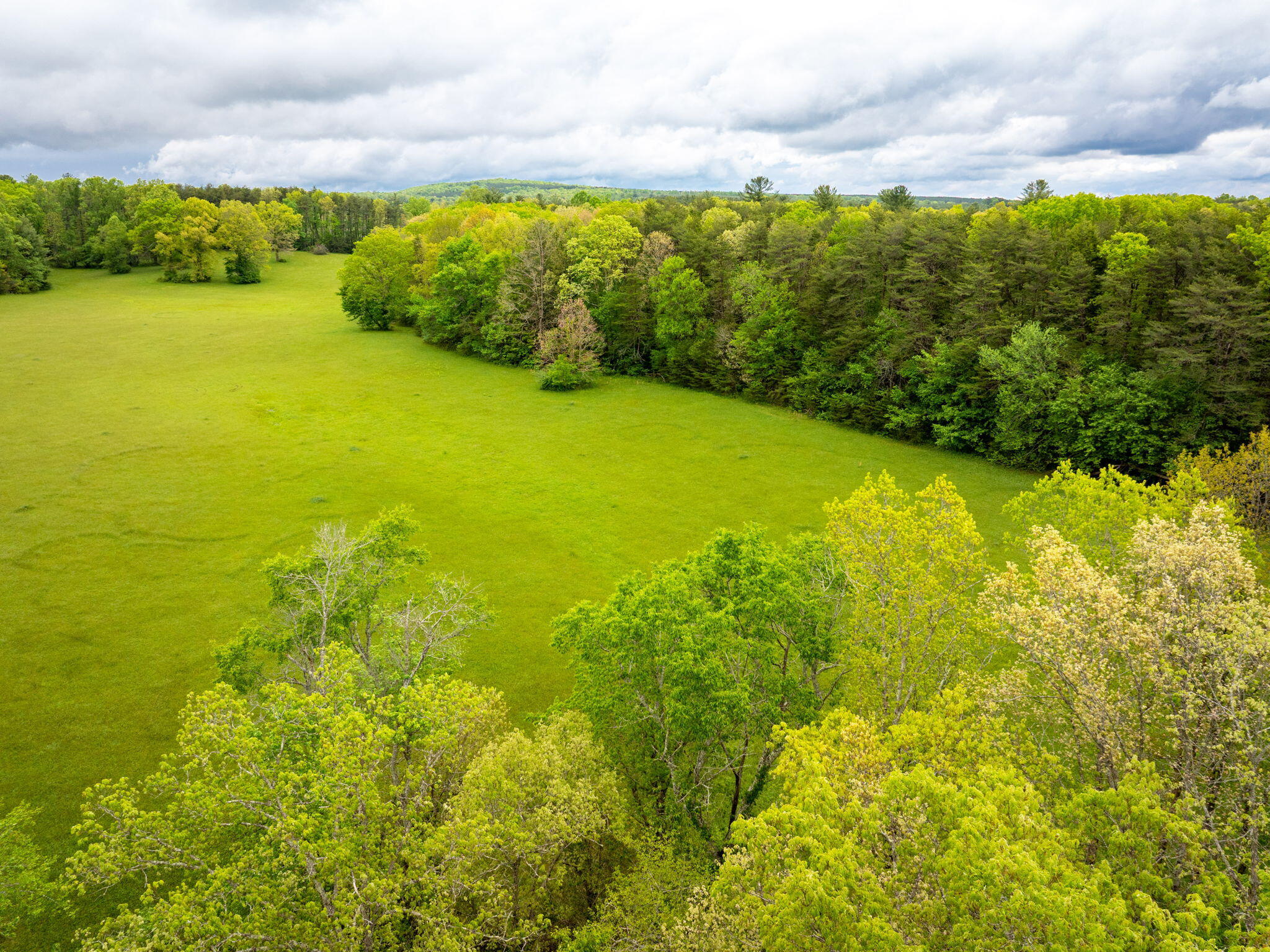 Blaine Smith Road #TRACT 11, Graysville, Tennessee image 4
