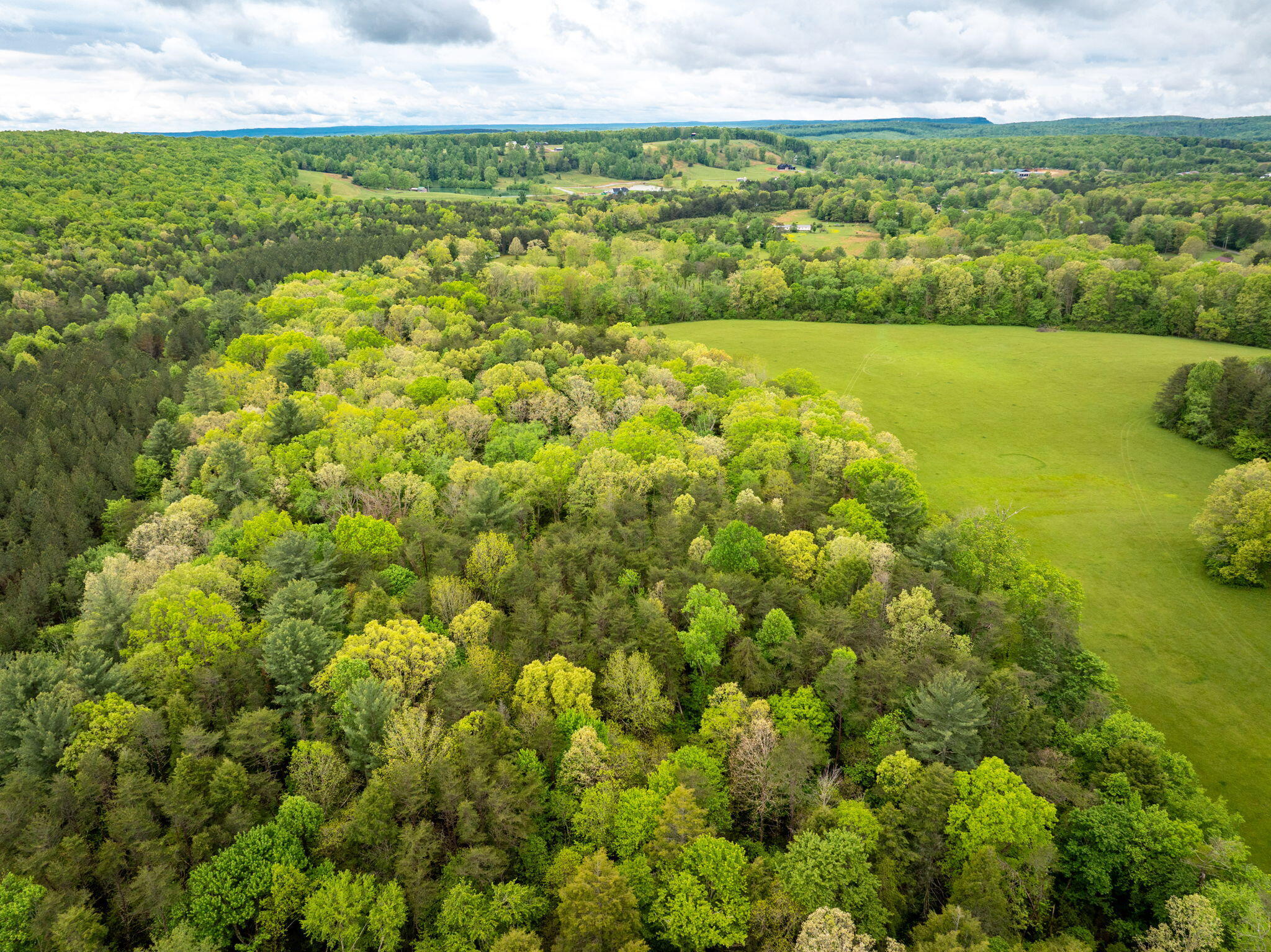 Blaine Smith Road #TRACT 11, Graysville, Tennessee image 8