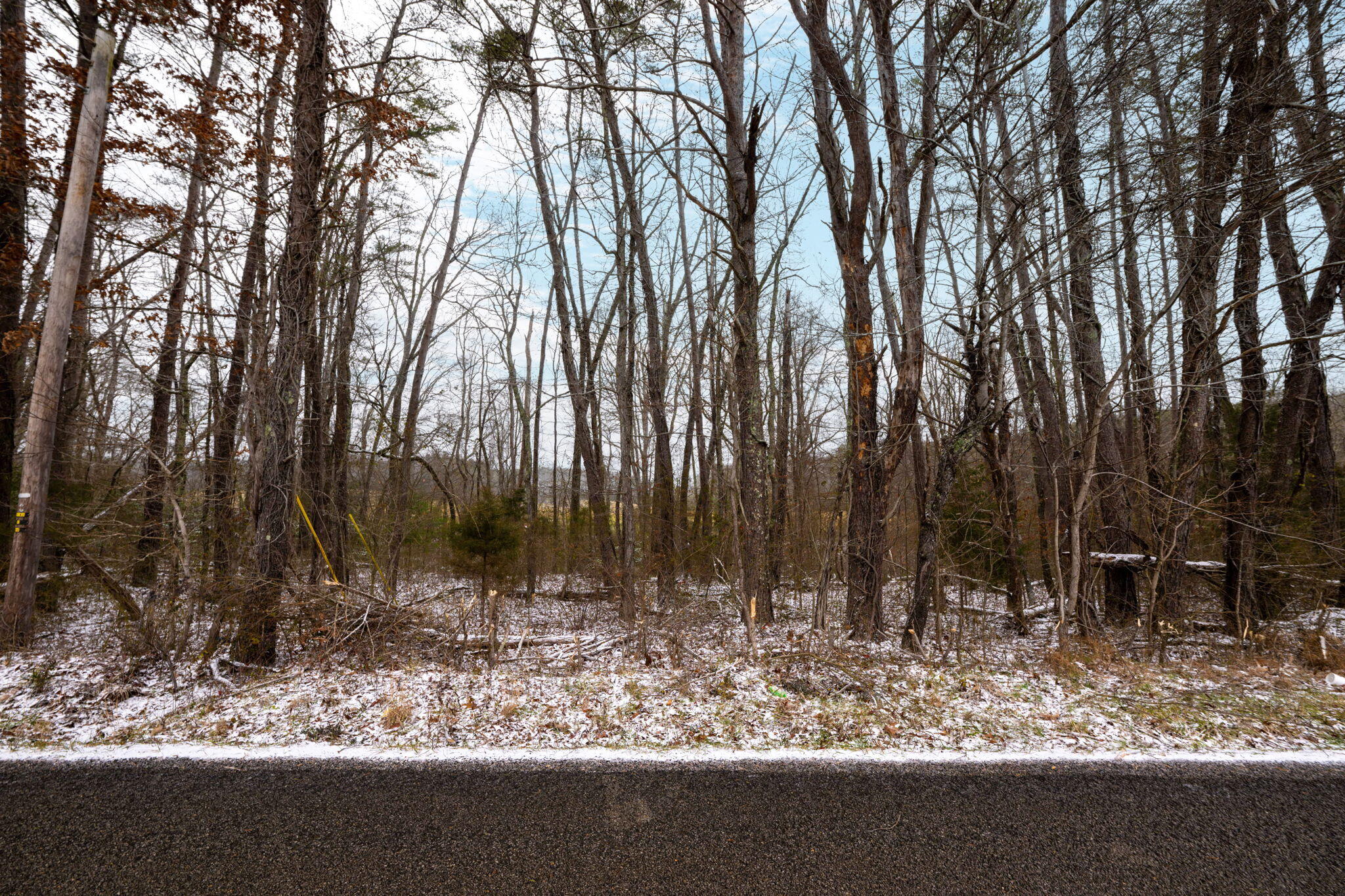 Blaine Smith Road #TRACT 11, Graysville, Tennessee image 11