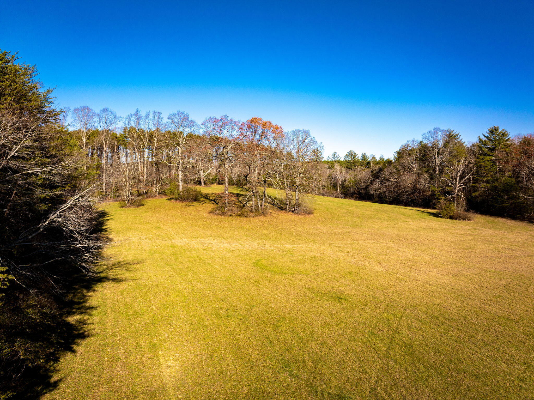 Blaine Smith Road #TRACT 11, Graysville, Tennessee image 10