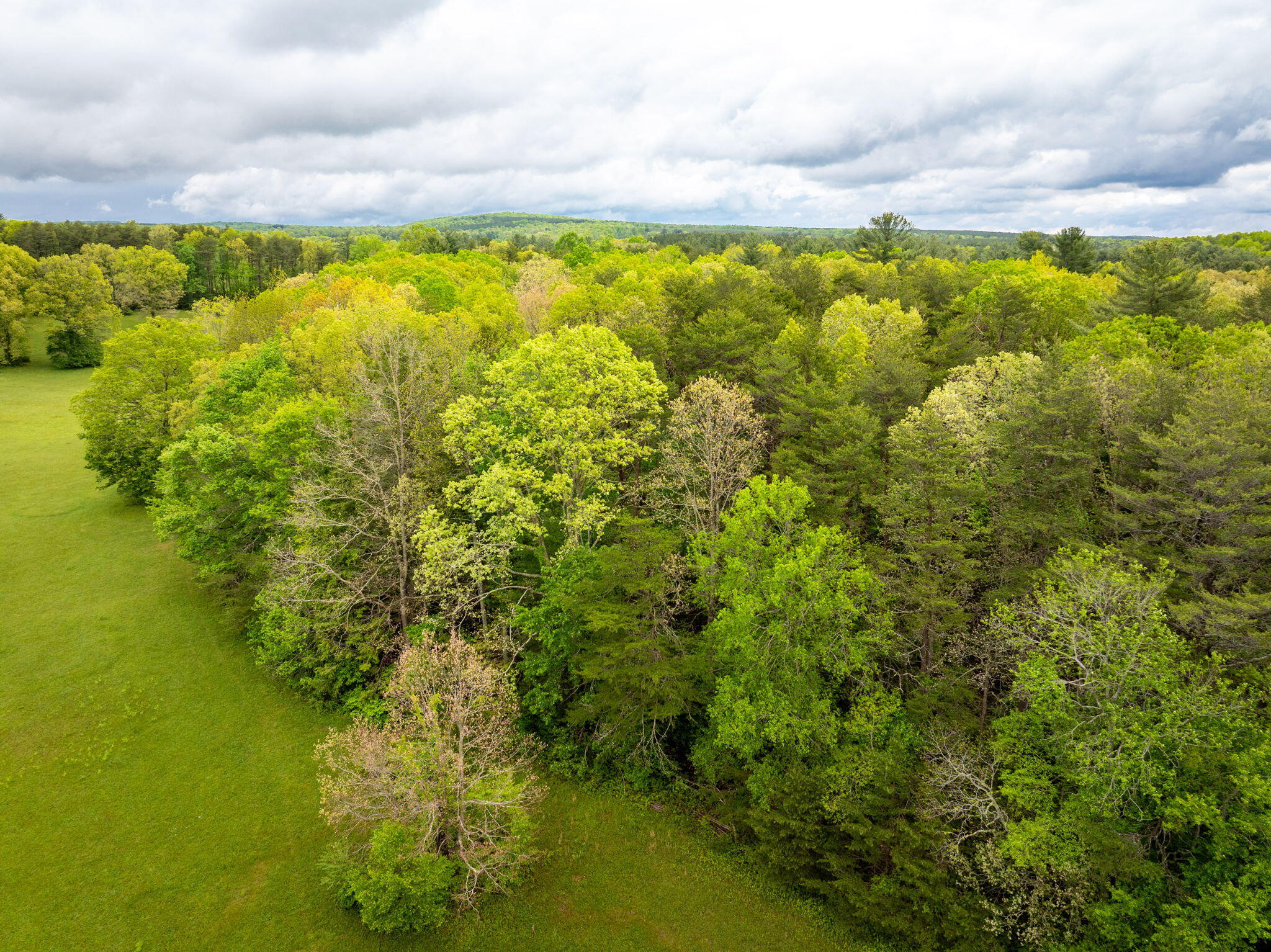 Blaine Smith Road #TRACT 11, Graysville, Tennessee image 6