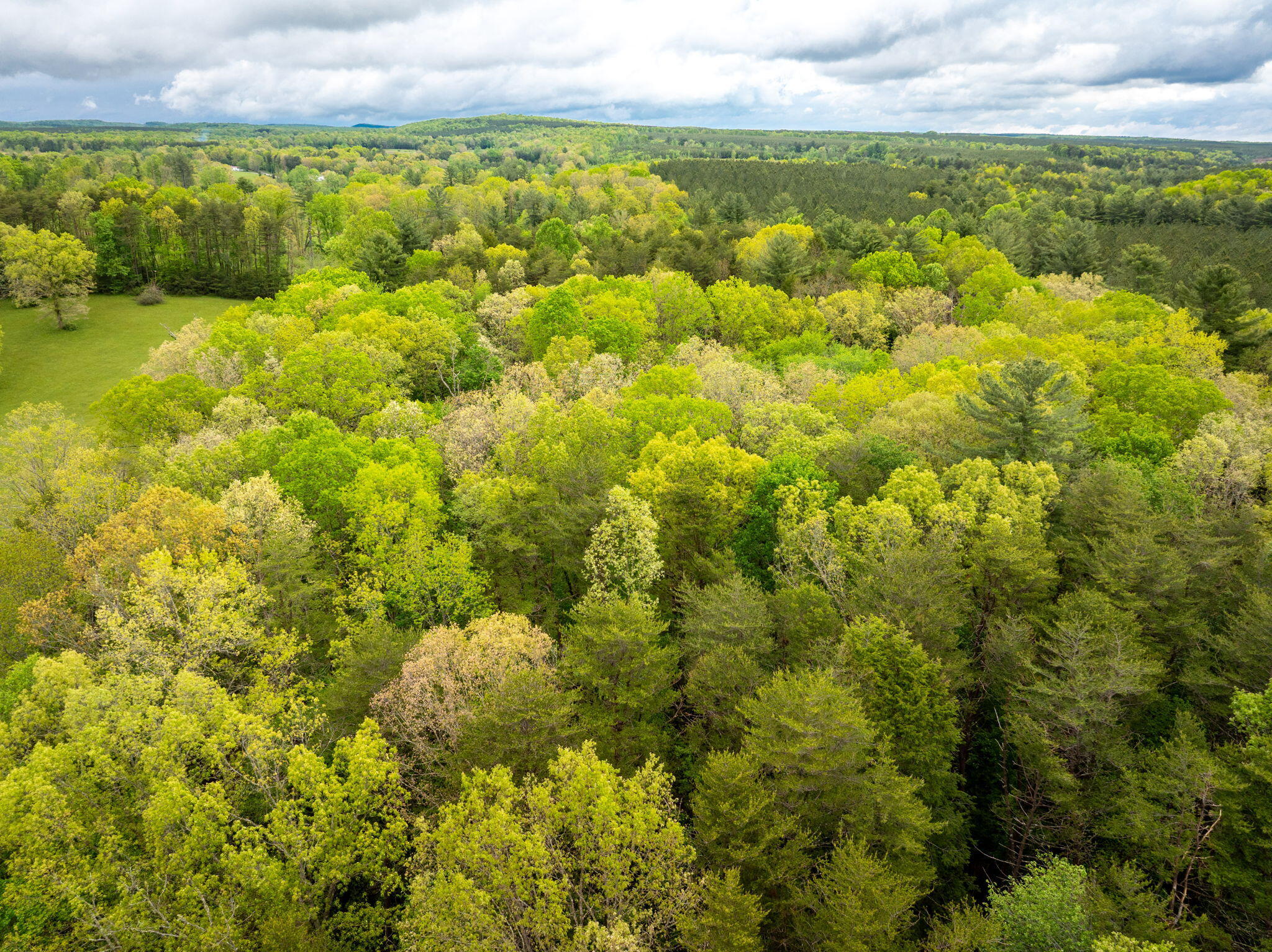 Blaine Smith Road #TRACT 11, Graysville, Tennessee image 7