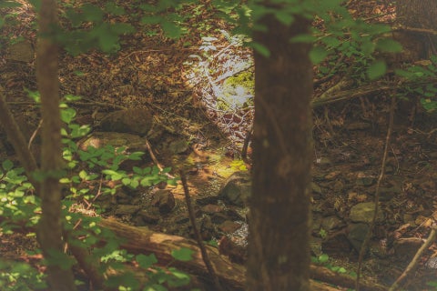 Photo of 0 Long Fork Creek Road, Spencer, TN 38585 (MLS # 1537217)