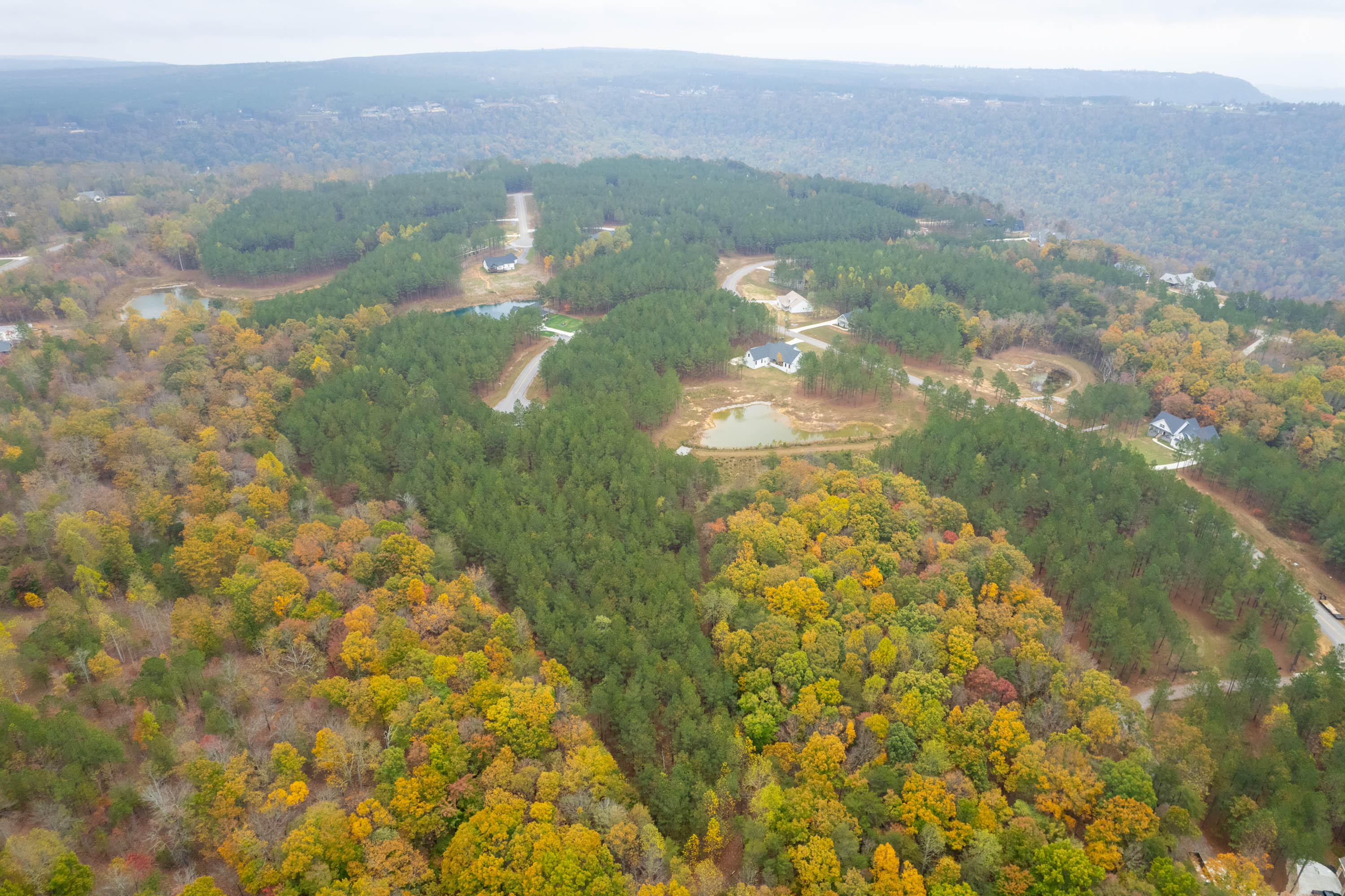 Bootleg Drive #202, Sequatchie, Tennessee image 24