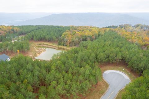 Photo of 0 Bootleg Drive #202, Sequatchie, TN 37374 (MLS # 1502689)