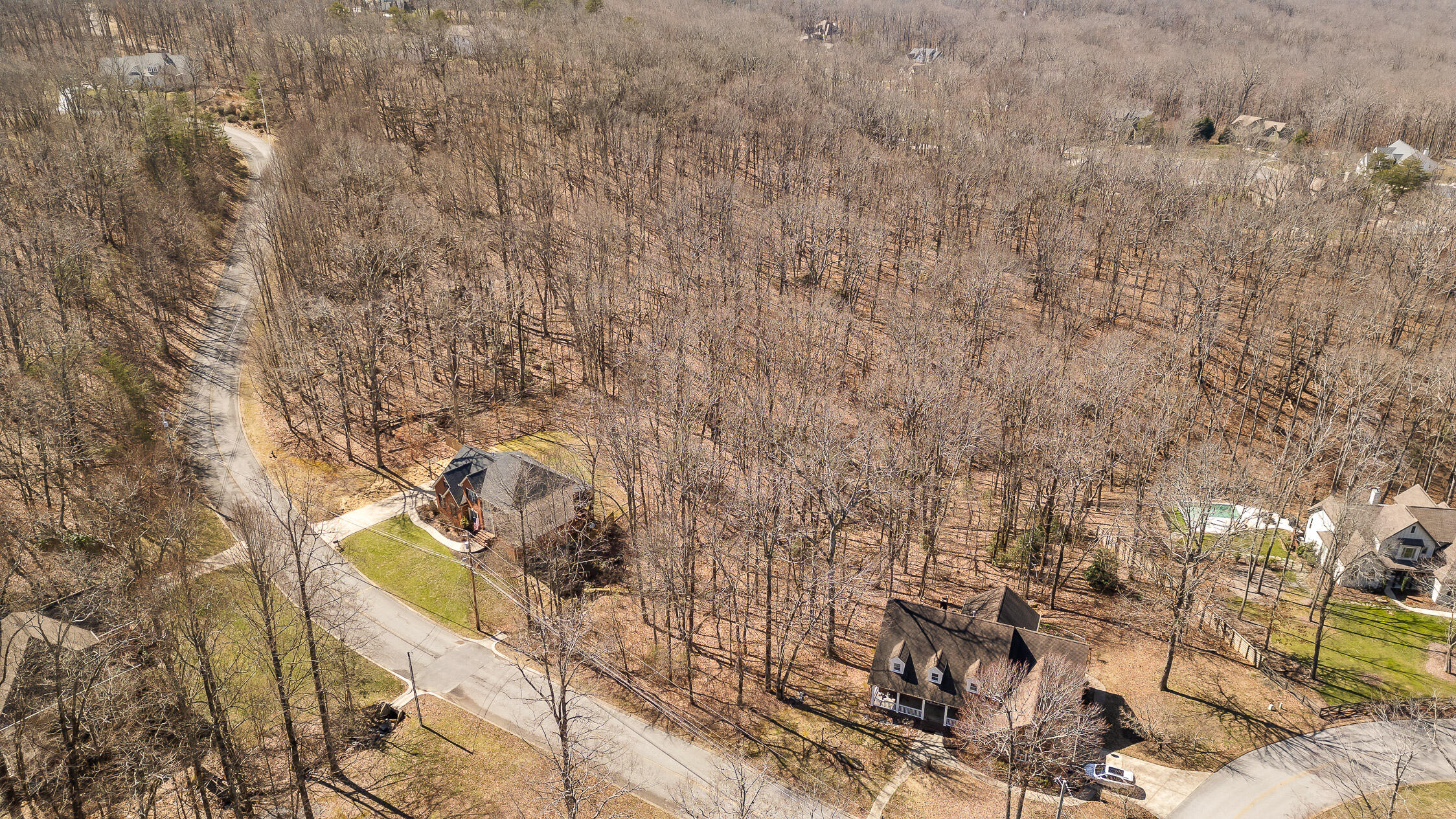 3833 Windtree Drive, Signal Mountain, Tennessee image 3