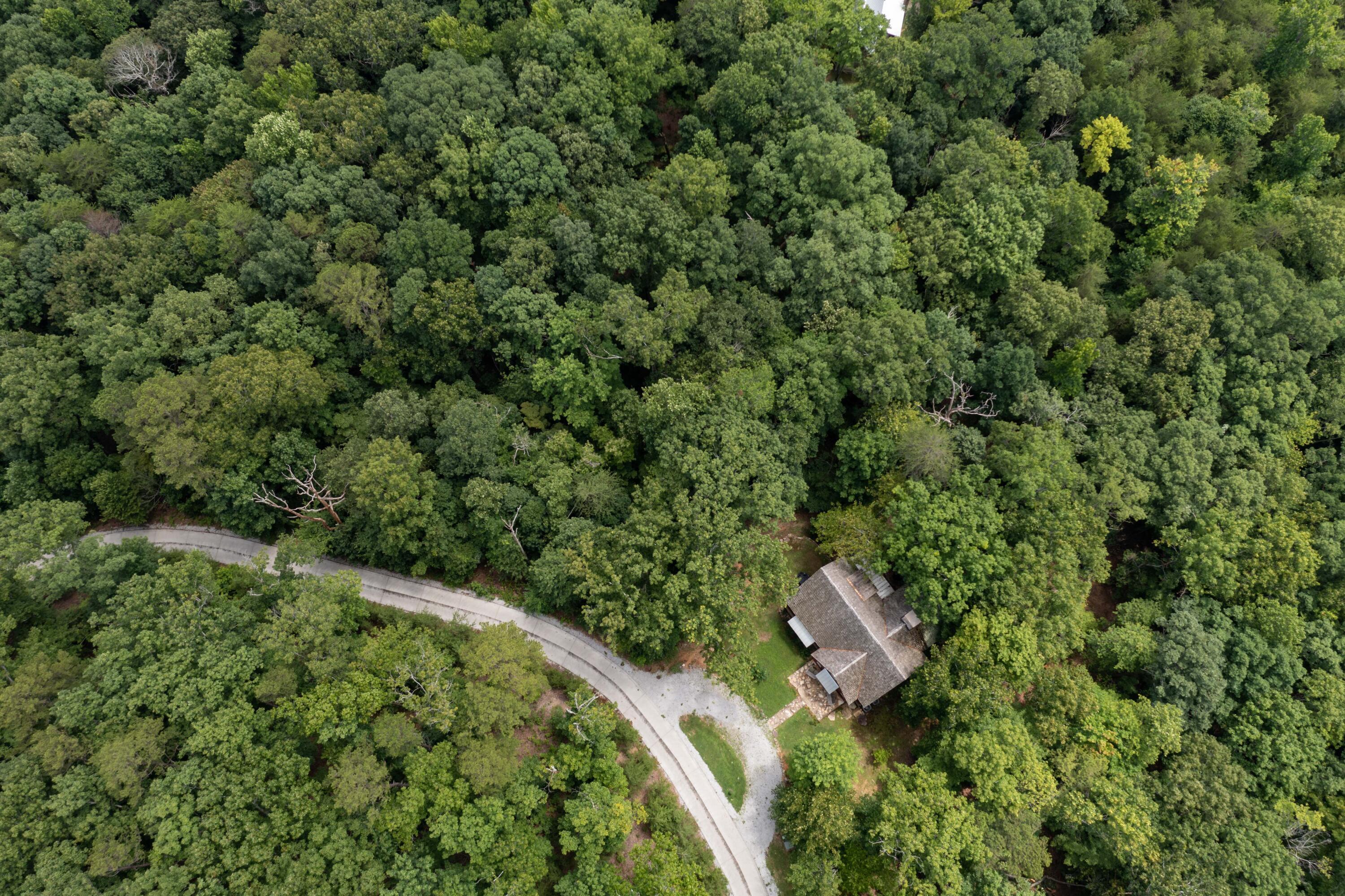 Valley Rim Drive #63, Chickamauga, Georgia image 4