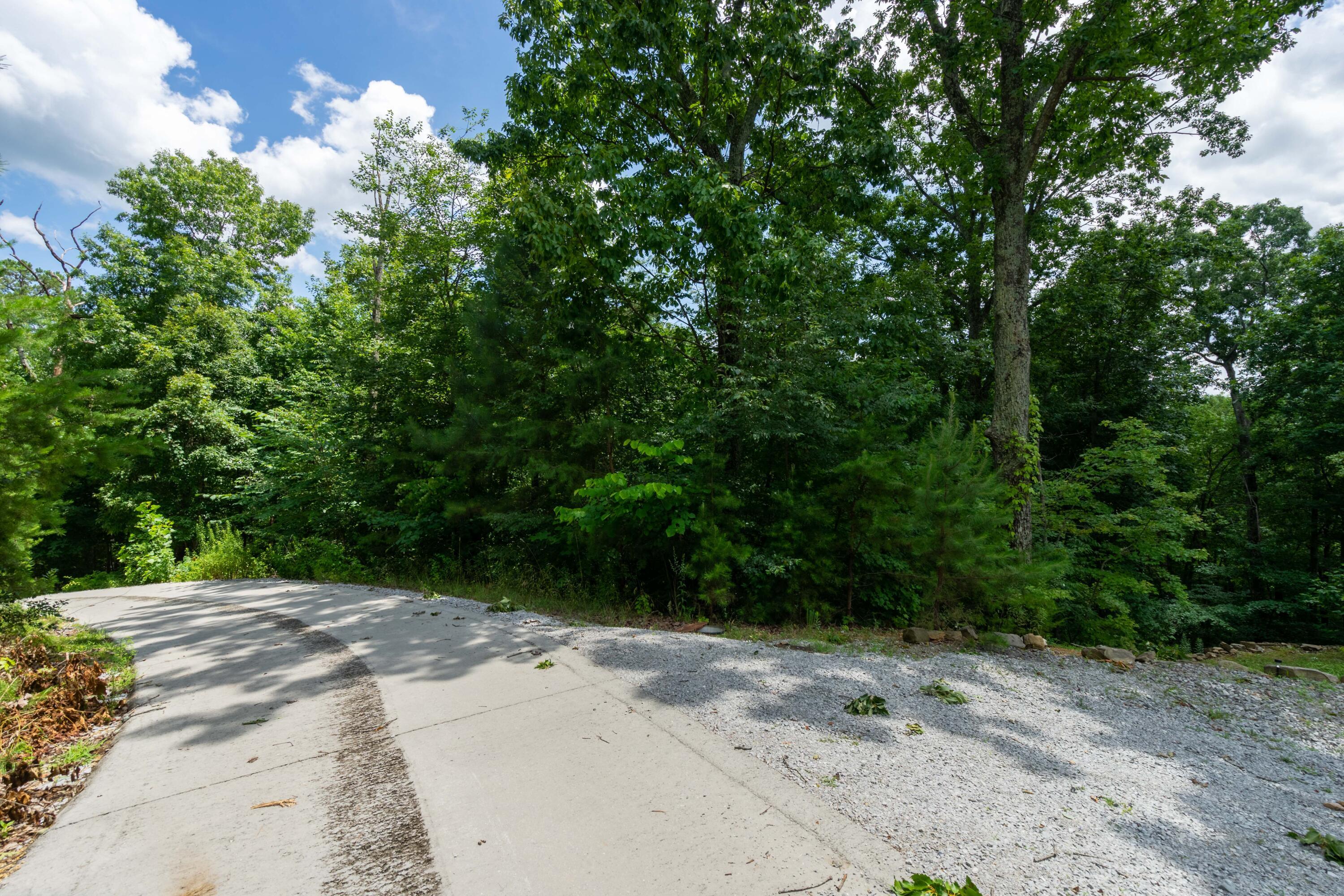Valley Rim Drive #63, Chickamauga, Georgia image 5