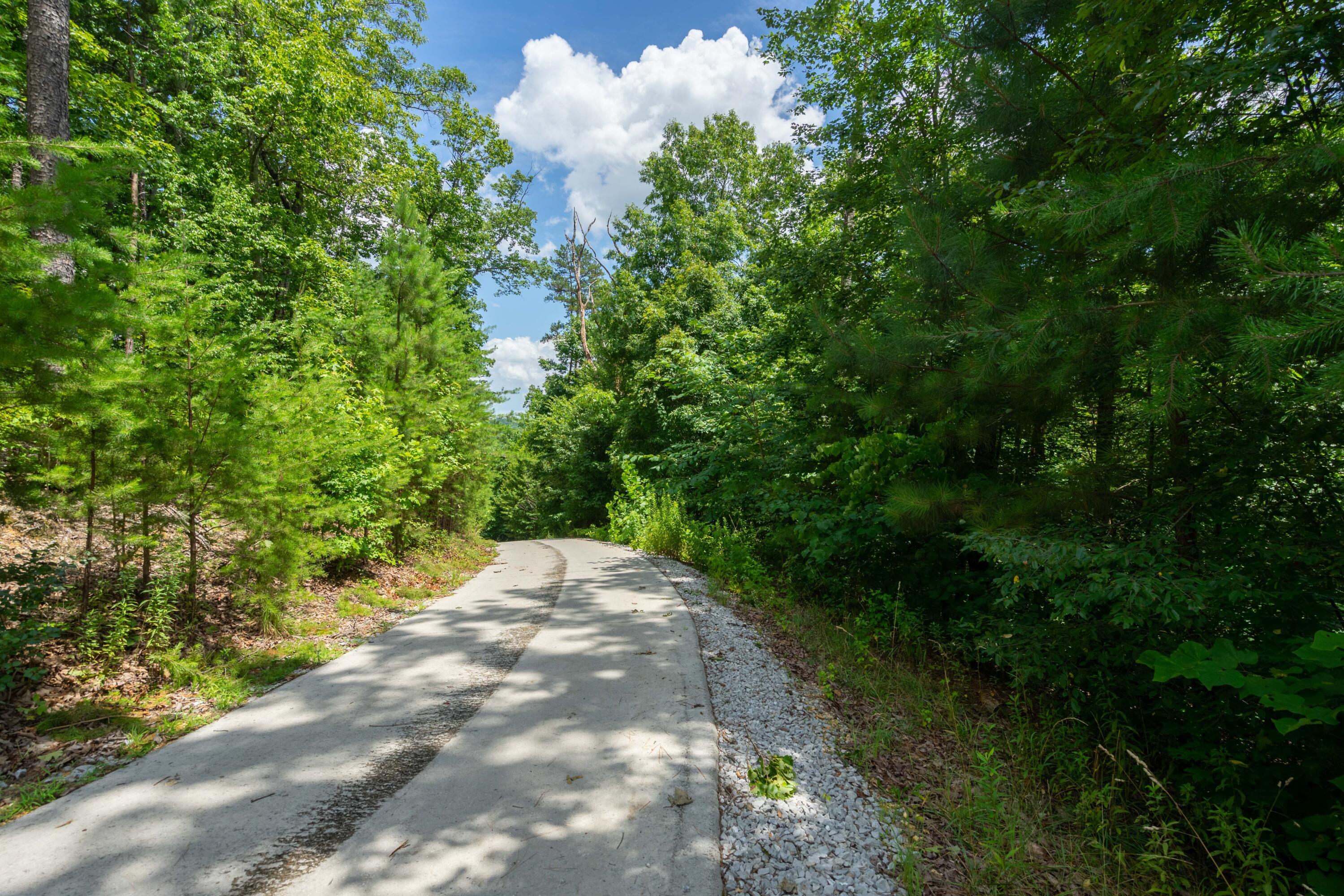 Valley Rim Drive #63, Chickamauga, Georgia image 44