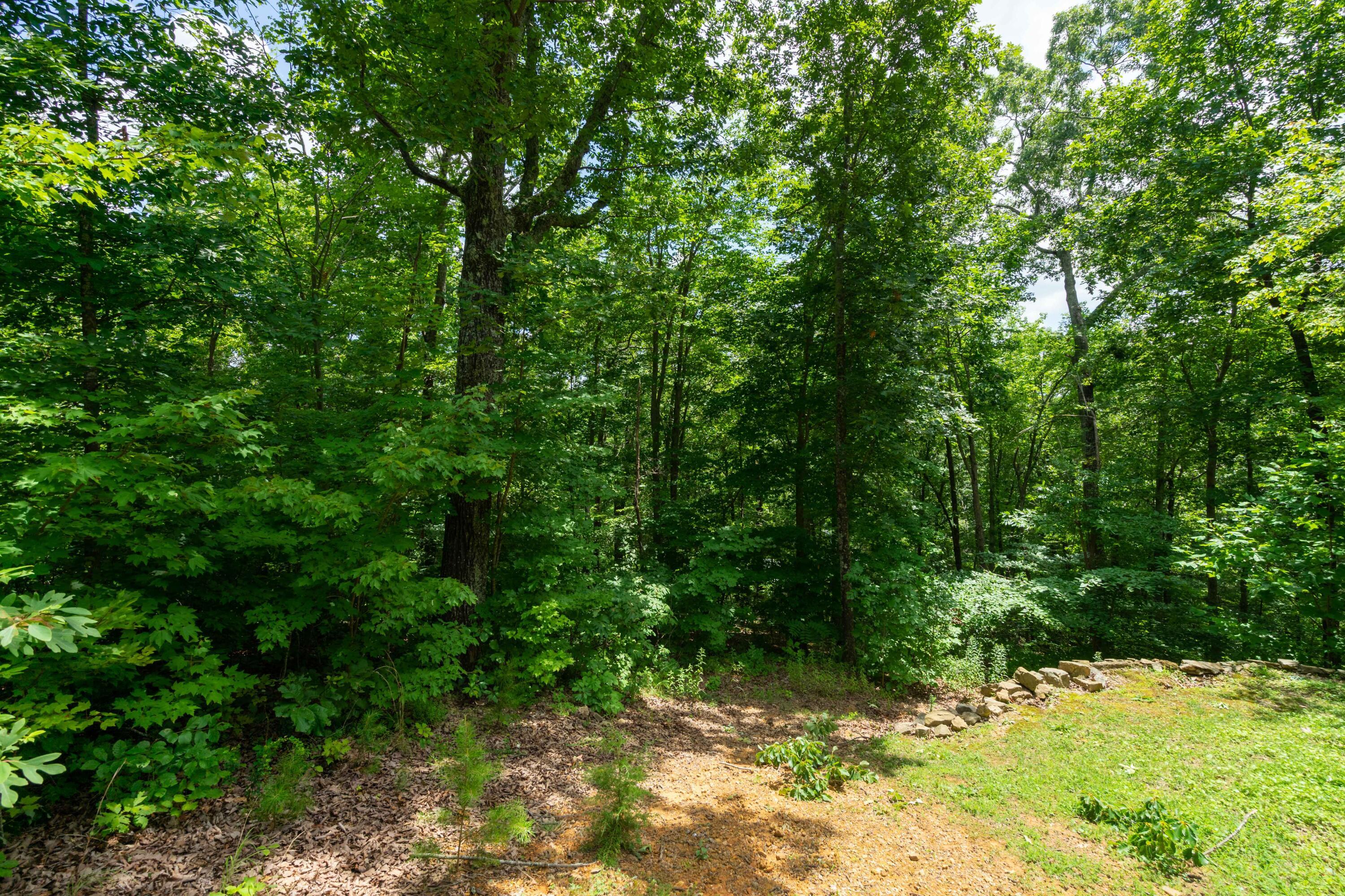 Valley Rim Drive #63, Chickamauga, Georgia image 8