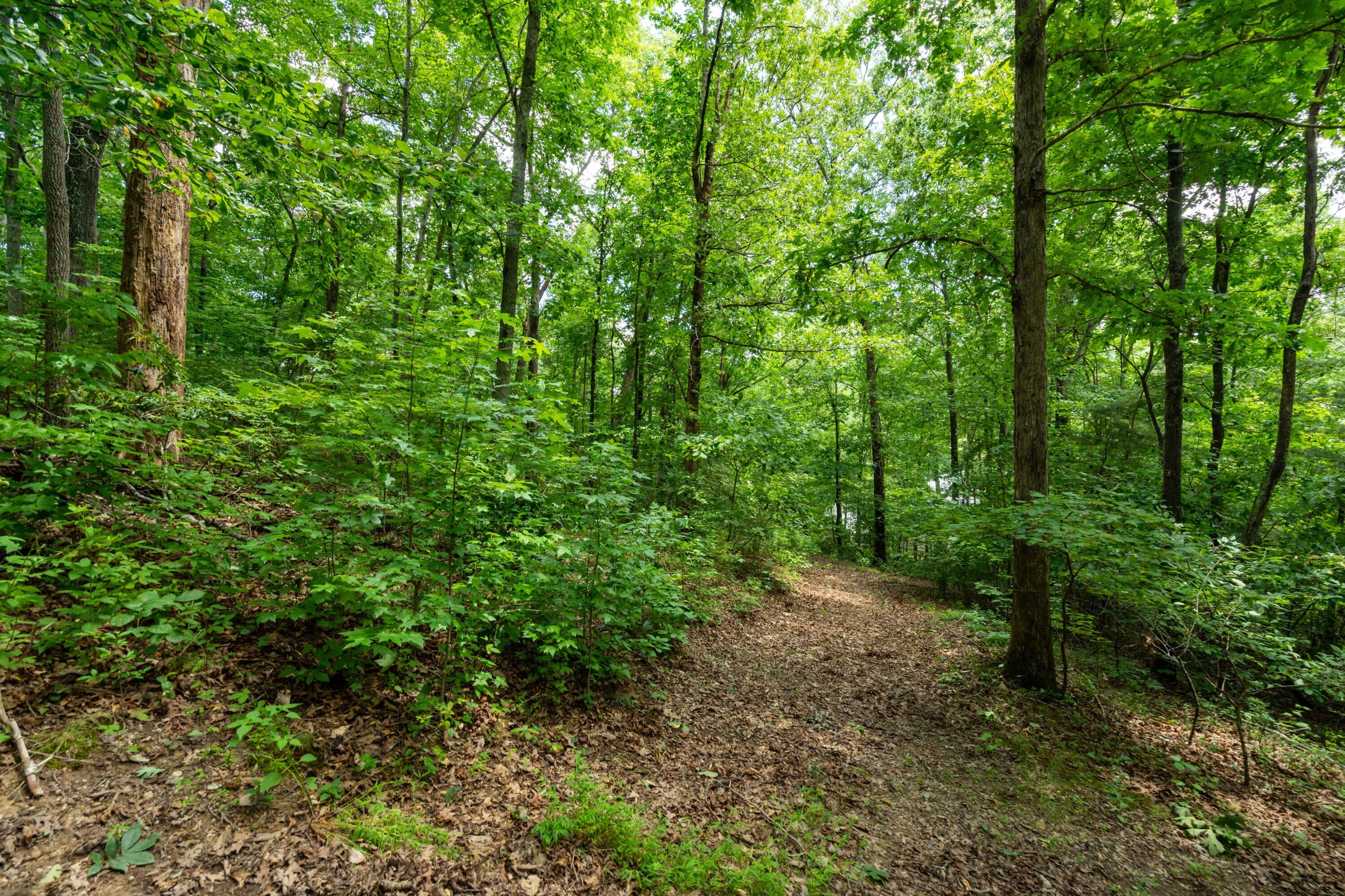 Valley Rim Drive #63, Chickamauga, Georgia image 9