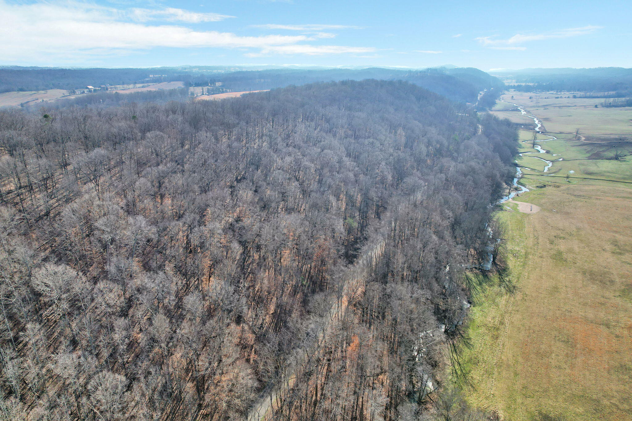 00 Johnson Valley Road, Philadelphia, Tennessee image 6