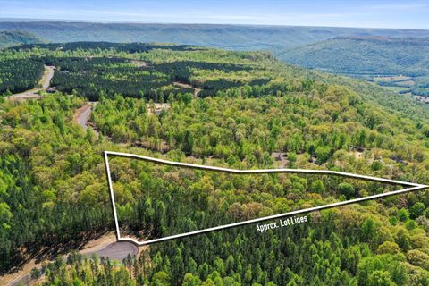 Photo of 0 Honeybee Court #Jf409, Jasper, TN 37347 (MLS # 1503351)