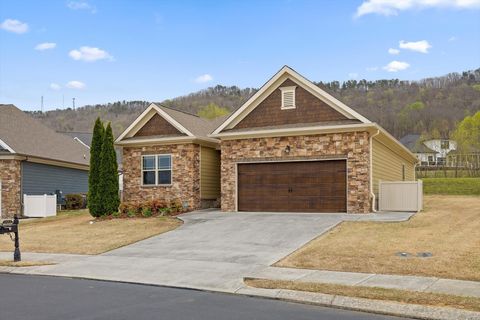 Photo of 8442 Deer Run Circle, Ooltewah, TN 37363 (MLS # 1531268)