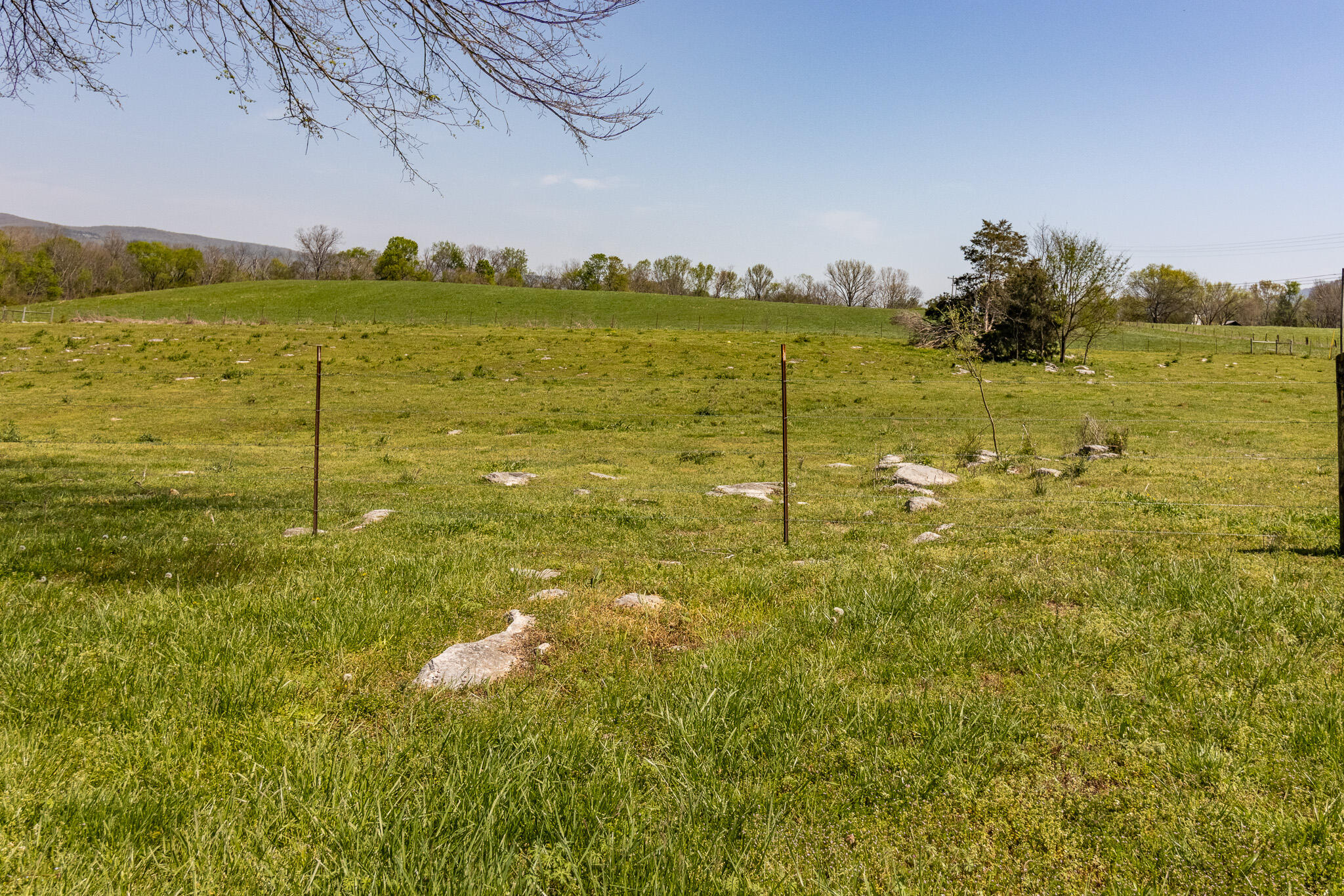 7511 Upper East Valley Road, Pikeville, Tennessee image 47