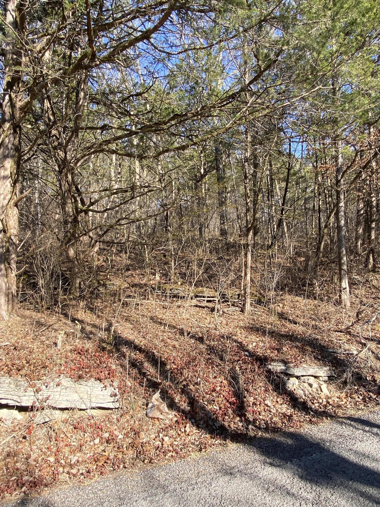 Lowes Gap Road, Pikeville, Tennessee image 3