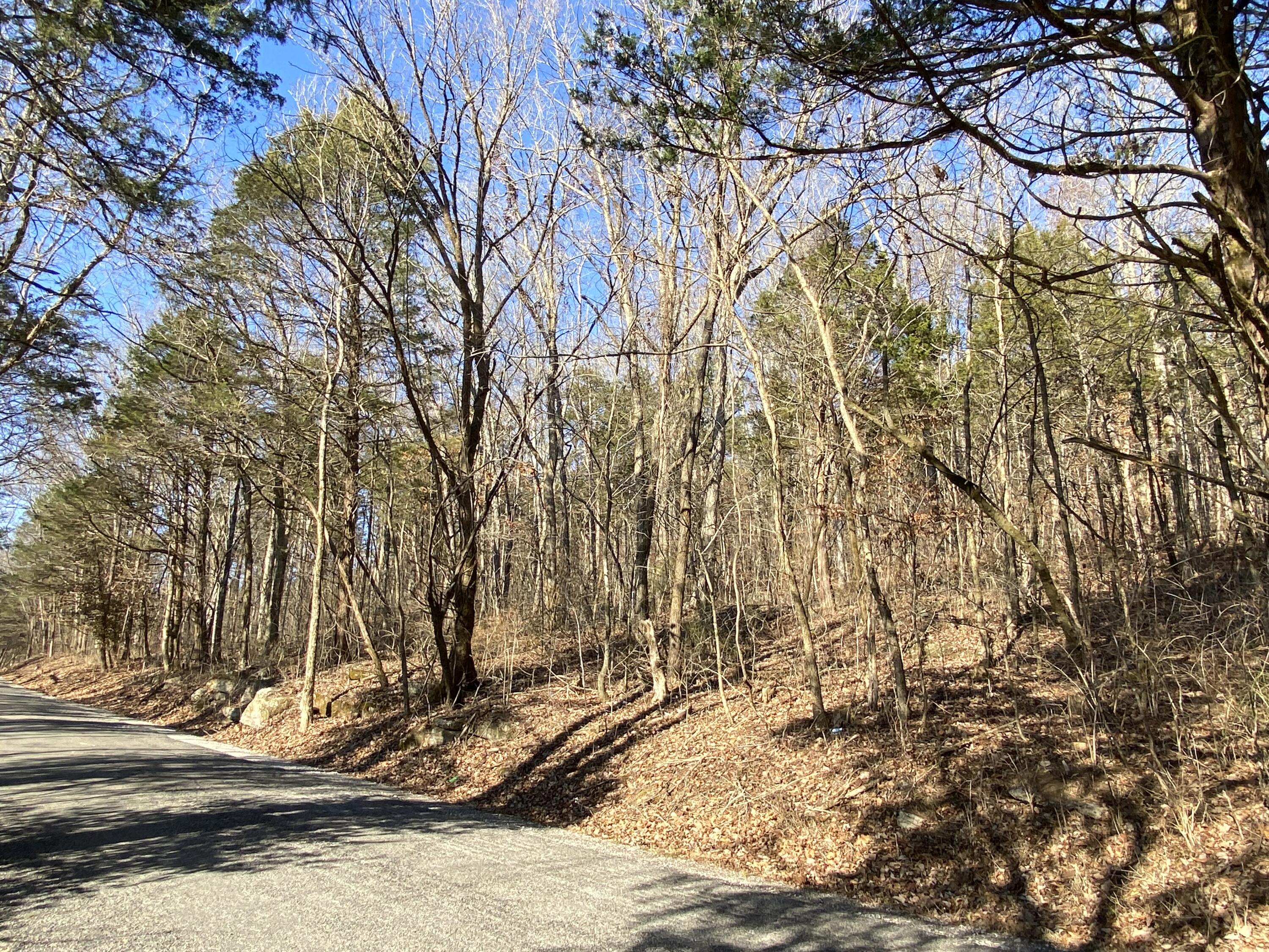 Lowes Gap Road, Pikeville, Tennessee image 1