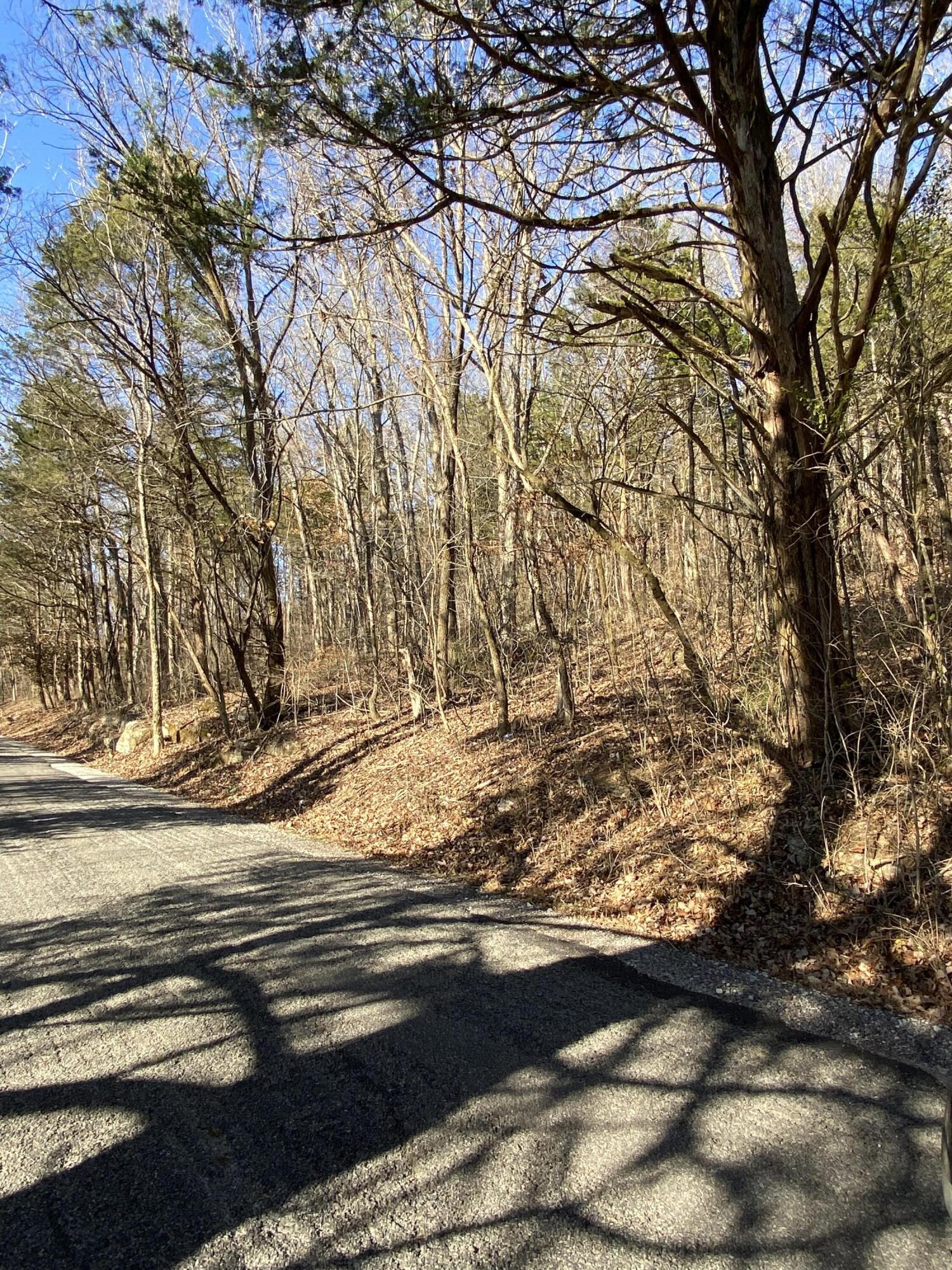 Lowes Gap Road, Pikeville, Tennessee image 5