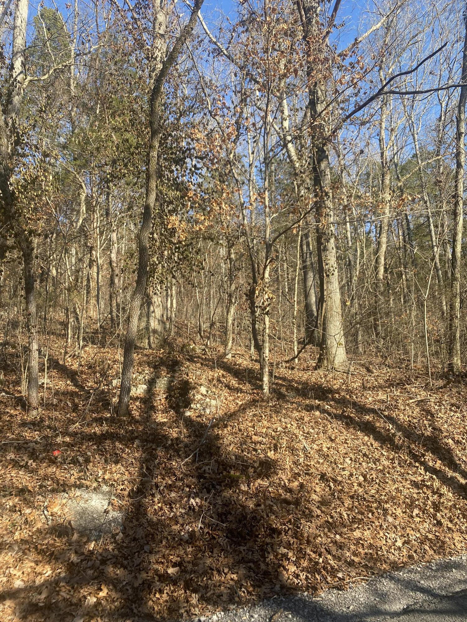 Lowes Gap Road, Pikeville, Tennessee image 4