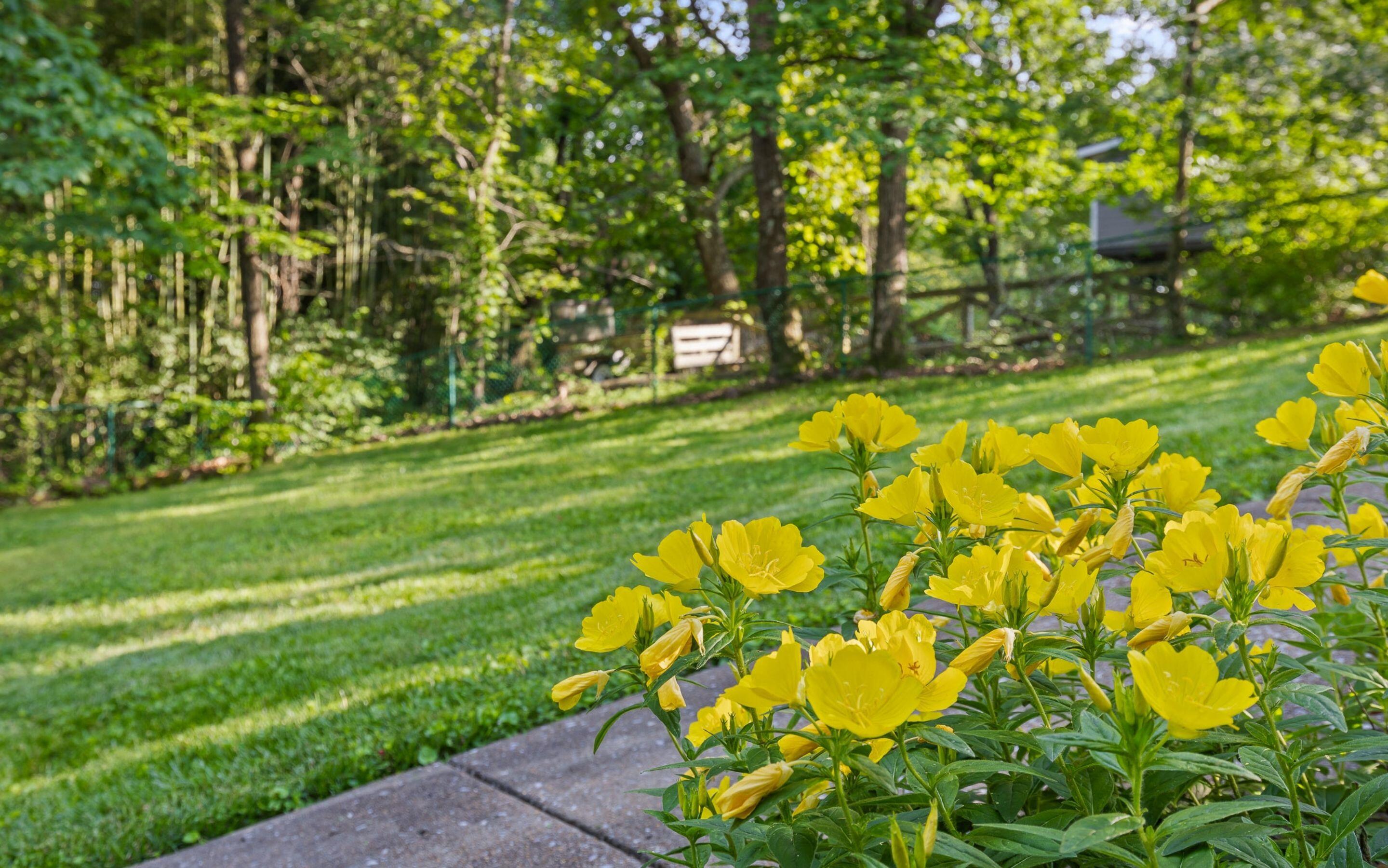 414 Gentlemens Ridge, Signal Mountain, Tennessee image 42