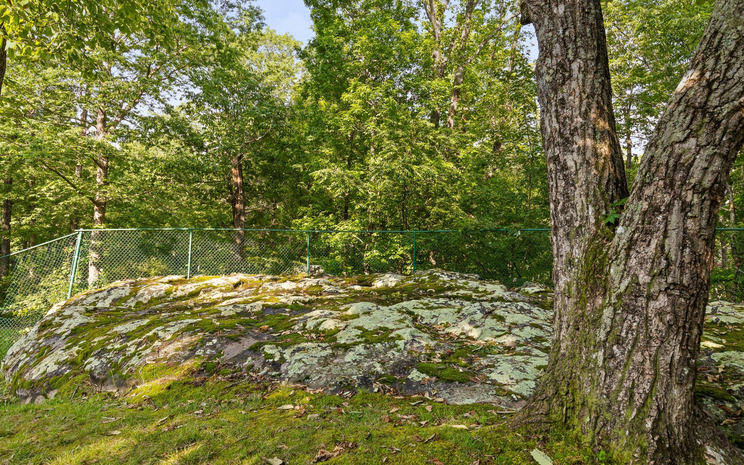 414 Gentlemens Ridge, Signal Mountain, Tennessee image 41