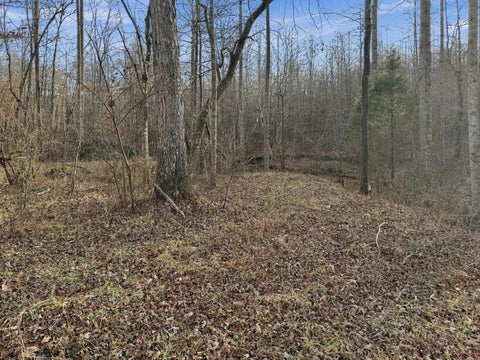 Vacant Land For Sale - Simmons Street<br/> Crossville, TN 38572