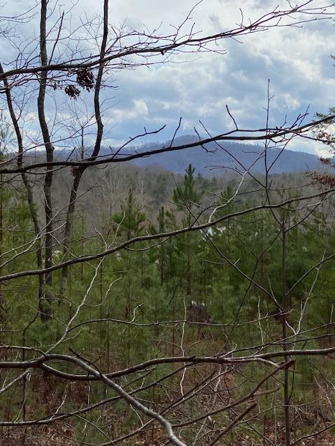 137 Rocky Ford Road, Turtletown, Tennessee image 3