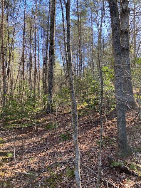 137 Rocky Ford Road, Turtletown, Tennessee image 8