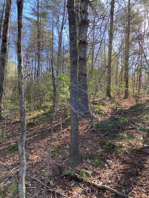 137 Rocky Ford Road, Turtletown, Tennessee image 9