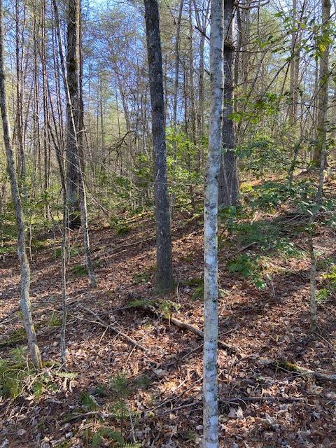 137 Rocky Ford Road, Turtletown, Tennessee image 4