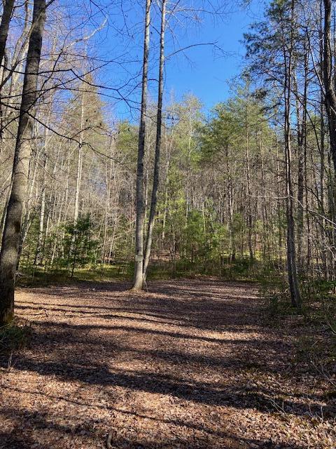 137 Rocky Ford Road, Turtletown, Tennessee image 7