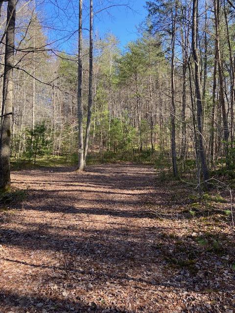 137 Rocky Ford Road, Turtletown, Tennessee image 1