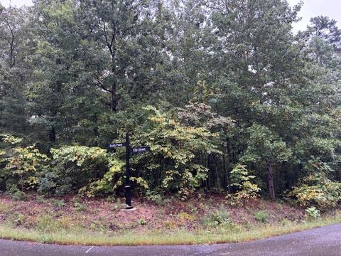 Photo of 12 Fife Street, South Pittsburg, TN 37380 (MLS # 1521334)